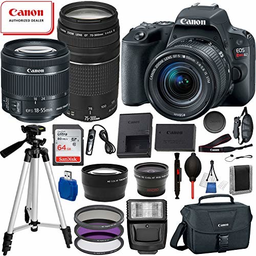 Canon EOS Rebel SL2 DSLR Camera, EF-S 18-55mm STM, Canon EF 75-300mm Telephoto Lens USA (Black) 19PC Professional Bundle Package Deal -SanDisk 64gb SD Card + Canon Shoulder Bag+ More