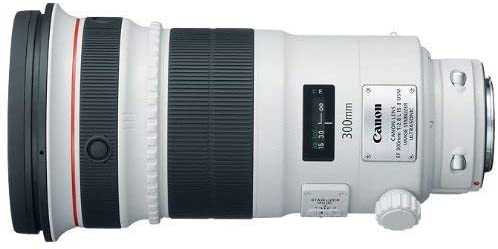 Canon EF 300mm f/2.8L IS USM II Super Telephoto Lens for Canon EOS SLR Cameras (Renewed)