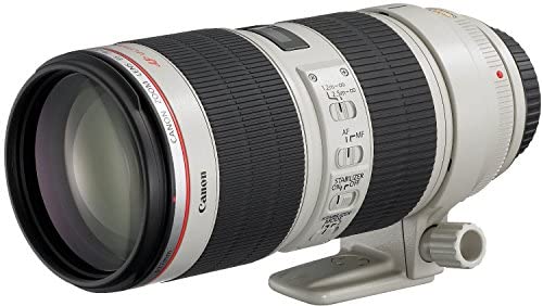 Canon EF 70-200mm f/2.8L IS II Telephoto Zoom Lens USM, Model EF70-200LIS2 - International Version