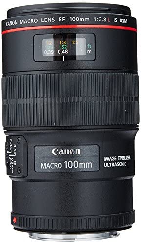 Canon EF 100mm f/2.8L IS USM Macro Lens for Canon Digital SLR Cameras (Certified Refurbished)