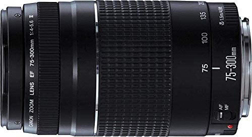 Canon EF 75-300mm f/4-5.6 III Telephoto Zoom Lens