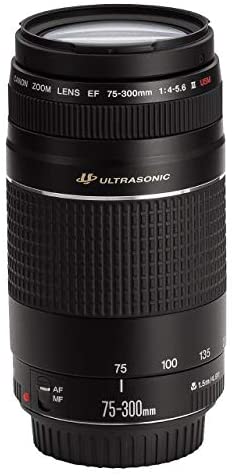 Canon EF 75-300mm f/4-5.6 III USM Telephoto Zoom Lens for Canon SLR Cameras (Renewed)