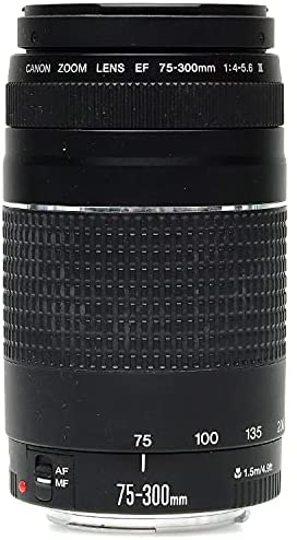 Canon EF 75-300mm f/4-5.6 III Telephoto Zoom Lens for Canon SLR Cameras