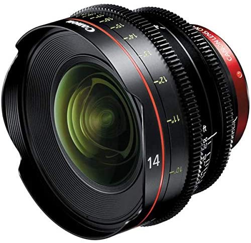Canon CN-E 14mm T3.1 L F Cinema Prime Lens (EF Mount) [Electronics]